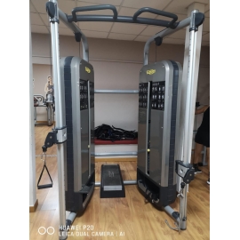 DUAL ADJUSTABLE PULLEY ELEMENT+ TECHNOGYM - Usato ricondizionato