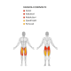 COMBO ABDUCTOR / ADDUCTOR