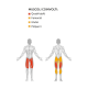 COMBO LEG CURL / LEG EXTENSION